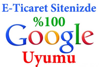 E-Ticaret Sitenizde Yüzde 100 Google Uyumu